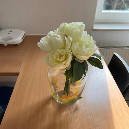 Petridis Apartamento *